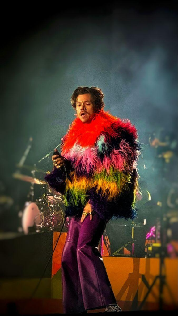 outfit ikonik harry styles