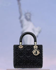 lady bag