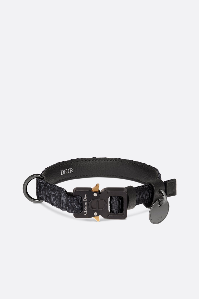 dior pet collar