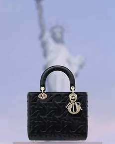 lady bag